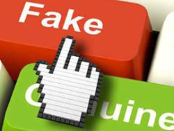 fake_mini