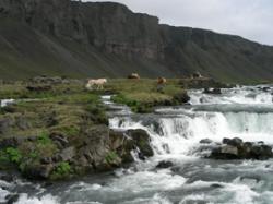 iceland-DSCN4730_mini