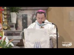 La Diocesi ha celebrato la Madonna Greca nella Basilica in Santa Maria in Porto